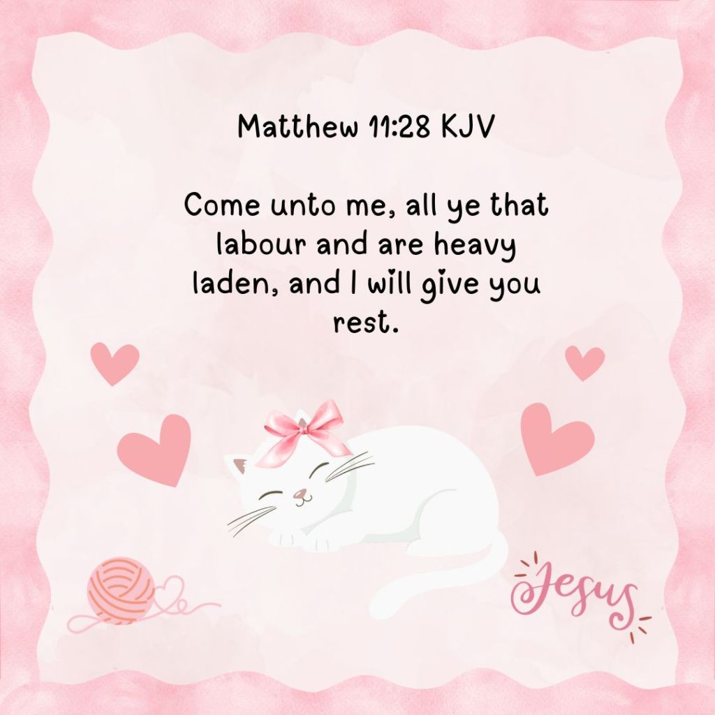 picture of bible verse Matthew 11:28 and sleeping cat with pink bow